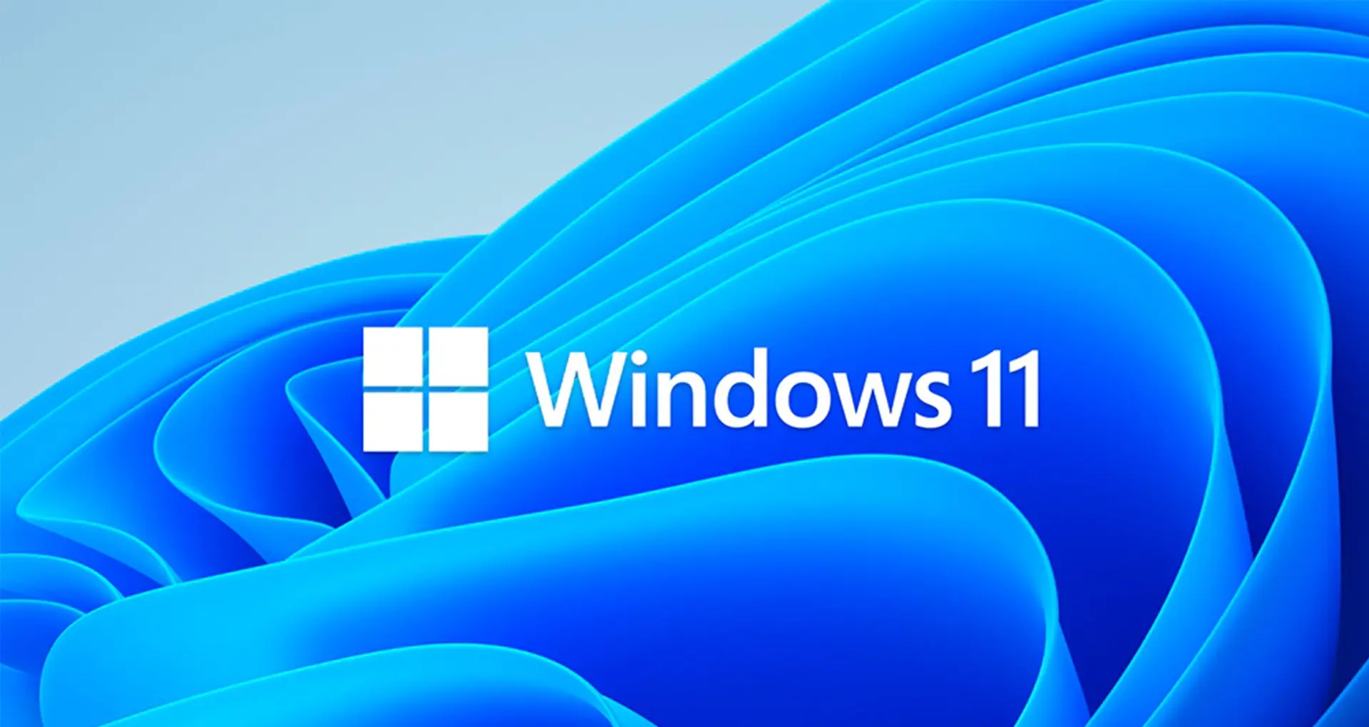 Cenesco | Windows 11 Umstellung für Unternehmen
